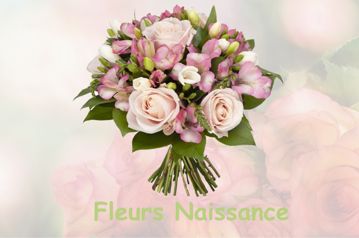 fleurs naissance VILLE-SUR-COUSANCES