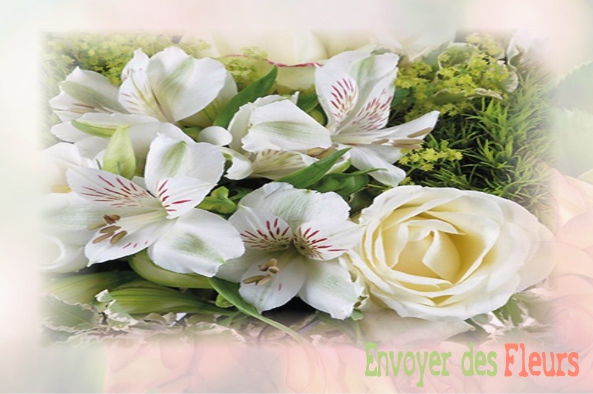 envoyer des fleurs à à VILLE-SUR-COUSANCES