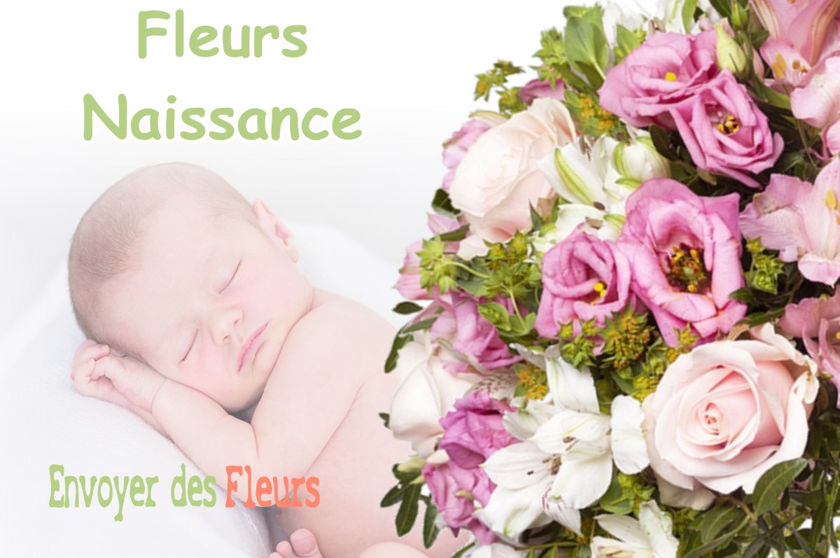 lIVRAISON FLEURS NAISSANCE à VILLE-SUR-COUSANCES